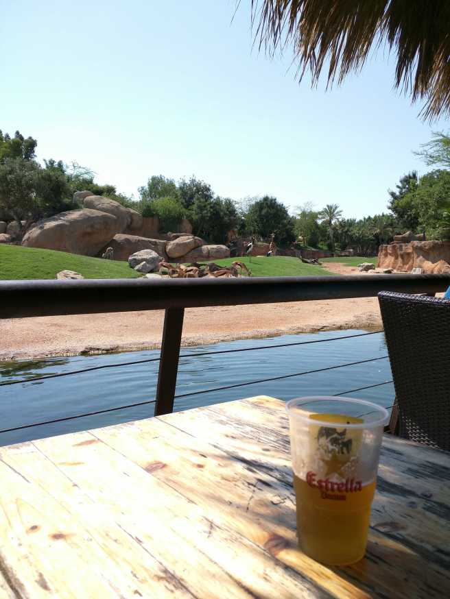 IMG_20150627_162144_51