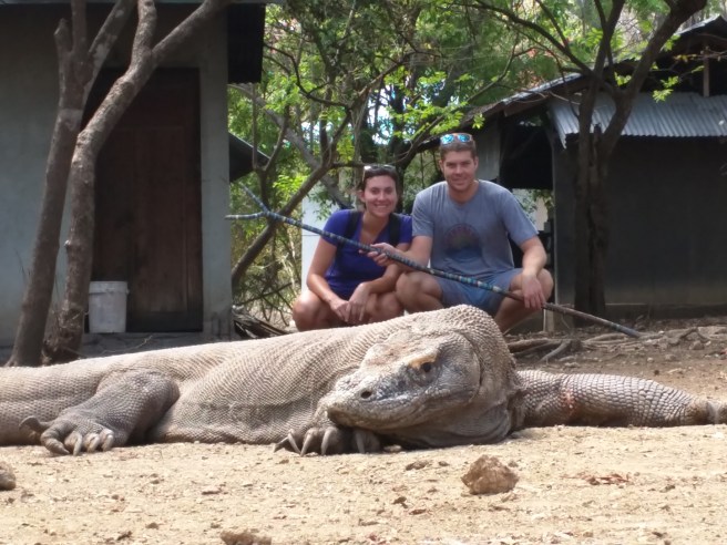 It looks fake, but this is a 6 foot wild Komodo Dragon. They are so lazy that our guide learned how to get close and frame them for photos.