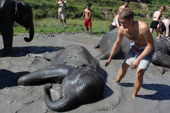 11224734_580702065419148_3458680623657951011_o