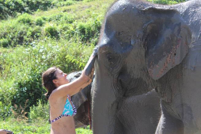 11240081_580703002085721_441756650851726396_o