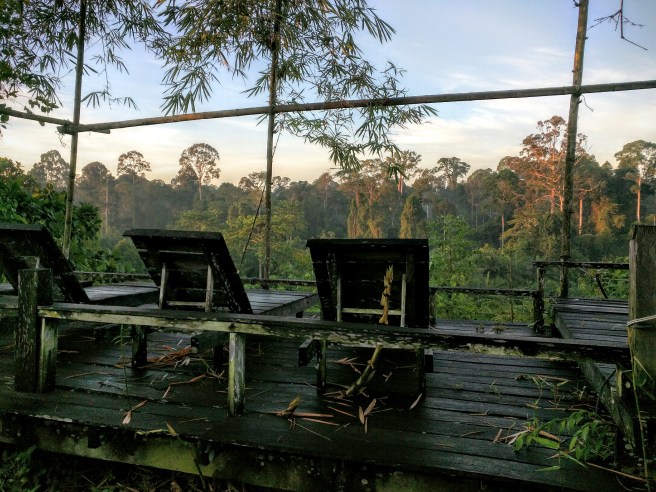 A jungle view from our rainforest chateau